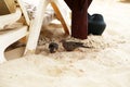 Closeup shot of turtledoves on the sand Royalty Free Stock Photo