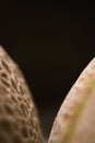 Closeup shot of two cantaloupes in a kitchen