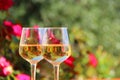 Closeup shot of two champaign glasses on a blurred natural background