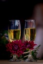 Closeup shot of two filled champaign glasses decorated with red flowers on a blurred background