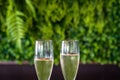 Closeup shot of two glasses of prosecco placed on a wooden table