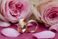 Closeup shot of two golden wedding rings surrounded by pink roses Royalty Free Stock Photo