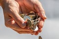 Closeup shot of two hands full of Canadian cash coins and dropping them Royalty Free Stock Photo