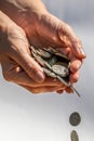 Closeup shot of two hands full of Canadian cash coins and dropping them Royalty Free Stock Photo