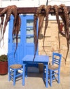 Closeup shot of two octopuses drying in the sun in Greece against a background of a blue door Royalty Free Stock Photo