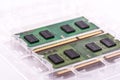 Closeup shot of two SODIMM memory modules in protective packaging on a white background Royalty Free Stock Photo