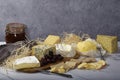 Closeup shot of a variety of cheese and wheat crackers on the table Royalty Free Stock Photo