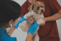 Closeup shot of veterinarian hands checking dog by stethoscope in vet clinic Royalty Free Stock Photo