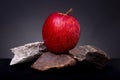 Closeup shot of a vibrant bright red apple on small pieces of rock against a black background