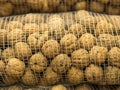 Closeup shot of the walnuts in a mesh bag Royalty Free Stock Photo