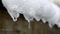 Closeup shot of water droplets cascading from icicles on a roof. Beauty of nature and the arrival of spring