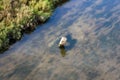 Closeup shot of a water level marker in slow-moving coastal stream