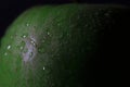 Closeup shot of waterdrops on a green apple Royalty Free Stock Photo