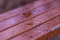 Closeup shot of waterdrops on a wooden surface with a blurred background