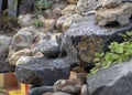 Closeup shot of wet stones of an artificial waterfall Royalty Free Stock Photo