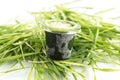 Closeup shot of a wheatgrass juice isolated on white background