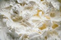Closeup shot of whipped cream texture Royalty Free Stock Photo
