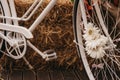 Closeup shot of a white bike decorated with flowers Royalty Free Stock Photo