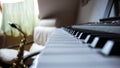 Closeup shot of the white and black keys of the piano Royalty Free Stock Photo