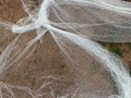 Closeup shot of white fishing nets Royalty Free Stock Photo