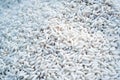 Closeup shot of white glutenous rice displayed in a market place Royalty Free Stock Photo