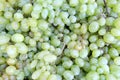 Closeup shot of white grapes - background Royalty Free Stock Photo