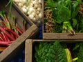 Closeup shot of white onions, spinach, and rainbow chard displayed on wooden crates