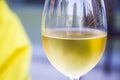 Closeup shot of white wine in the wineglass against a blurred background Royalty Free Stock Photo