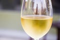 Closeup shot of white wine in wineglass against a blurred background Royalty Free Stock Photo