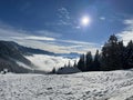 Closeup shot of winter in Orgevaux, Vallon de Villars the Swiss alps, Switzerland