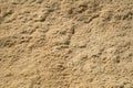 Closeup shot of wood shavings or sawdust after cutting wooden logs