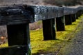Closeup shot of a wooden railing with yellow moss under it Royalty Free Stock Photo