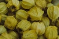 Closeup shot of yellow and brown colored groundcherries.