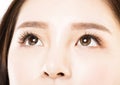 Closeup shot of young beautiful woman eyes