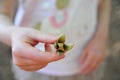 Closeup shot of a young girl holding a single beechnut fruit