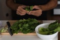 Closeup shot of a young man cutting a bunch of spinach