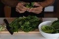 Closeup shot of a young man cutting a bunch of spinach