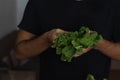 Closeup shot of a young man holding bunch of spinach