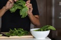 Closeup shot of a young man holding a bunch of spinach