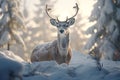 Closeup shots of winter wildlife featuring