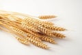 Closeup Showcases Wheat Ears In The Summer