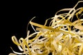 Closeup shredded paper texture and reuse yellow color,colorful paper scrap of document on black background. Selective focus image Royalty Free Stock Photo