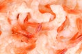 Closeup shrimp background
