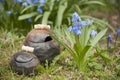 Closeup of of Siberian Squill and unique handmade pot with wooden detail for salt and sugar. Royalty Free Stock Photo