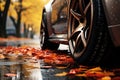 closeup side view of black car tires on asphalt road on rainy autumn day