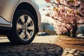 closeup side view of pink car tire on road with sakura cherry blossoms in the background Royalty Free Stock Photo