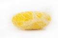 Closeup silkworm yellow cocoon isolated on white