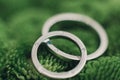 Wedding rings on green texture Royalty Free Stock Photo