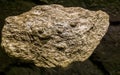 Closeup of a silver nugget, earth mineral stone, pure and raw ground rock Royalty Free Stock Photo