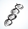 DNA icon sign. Vector drawing